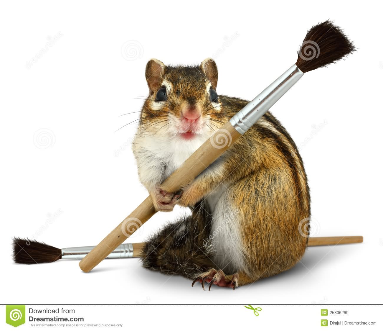 Funny Chipmunk With Paint Brush