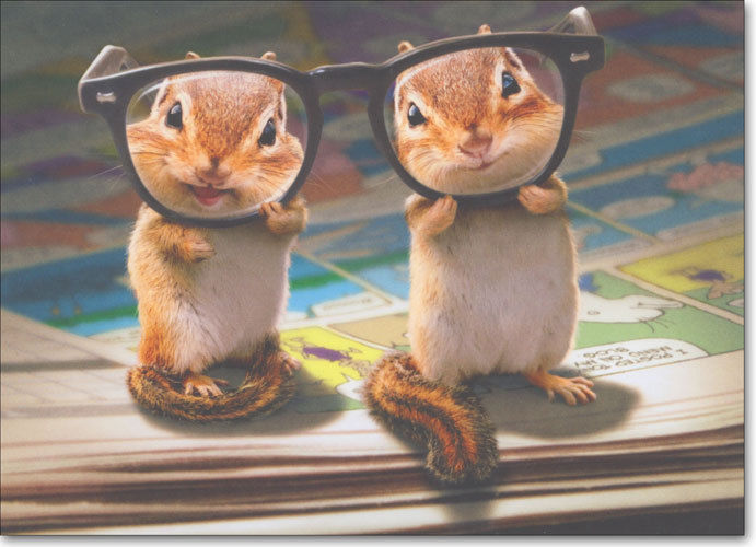 Funny Chipmunks Wearing Glasses