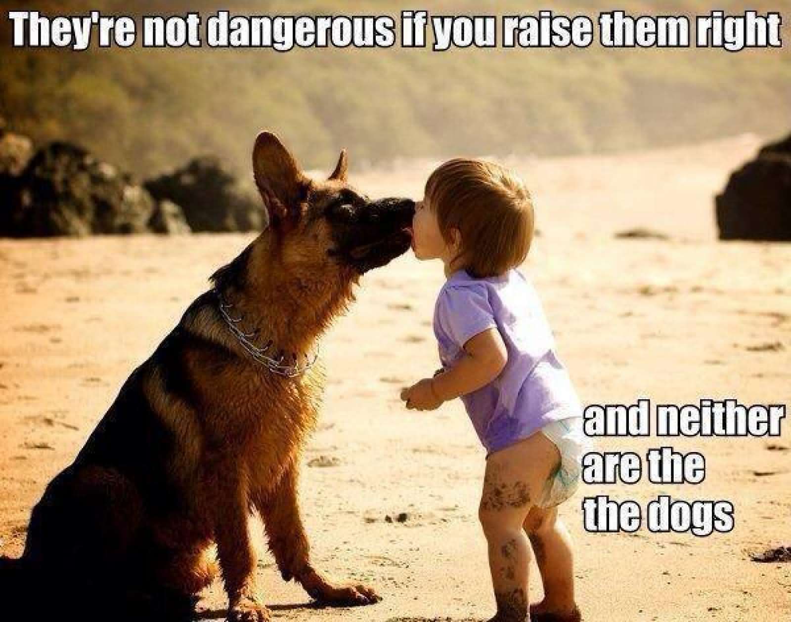Funny Dangerous Dog Kissing Kid