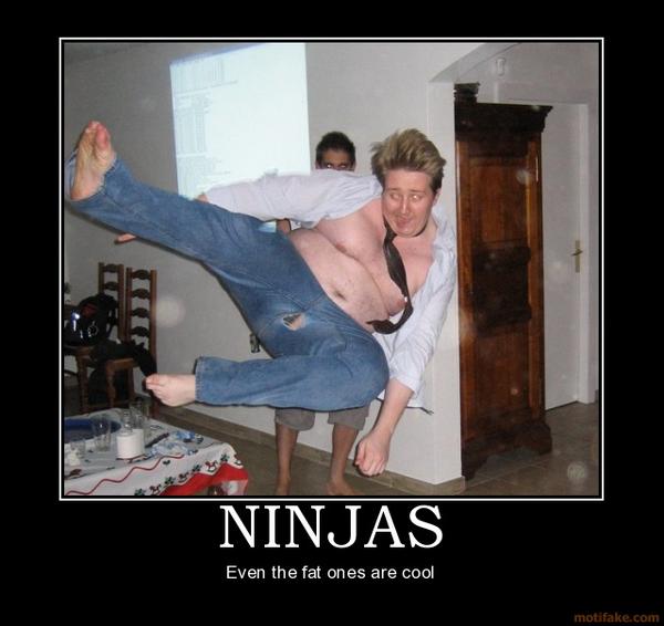 Funny Fat Man Kicked Ninja Picture