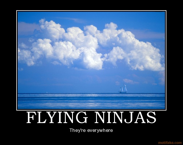 Funny Flying Ninja They Are Everywhere