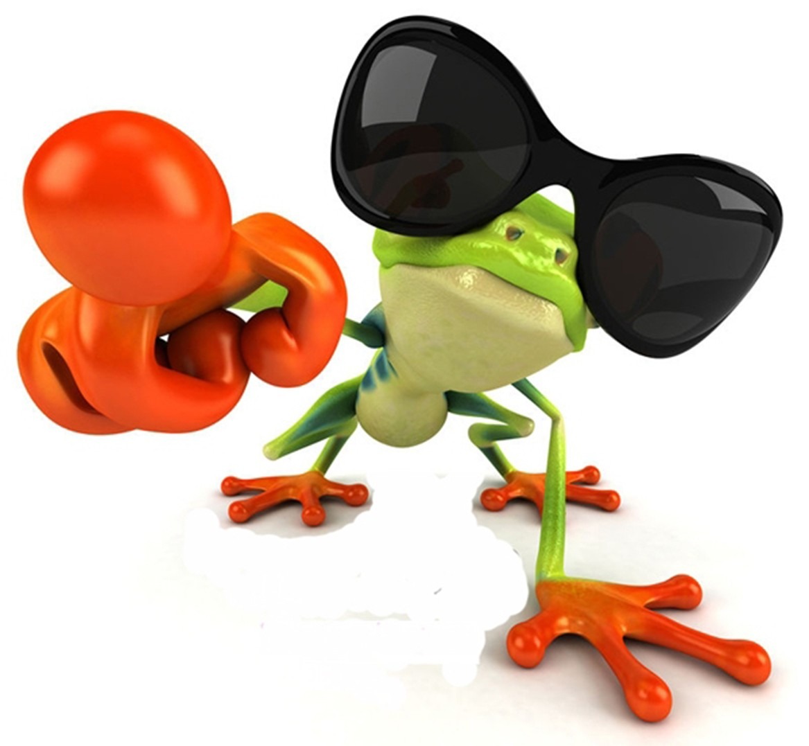 Funny Frog Personality Image