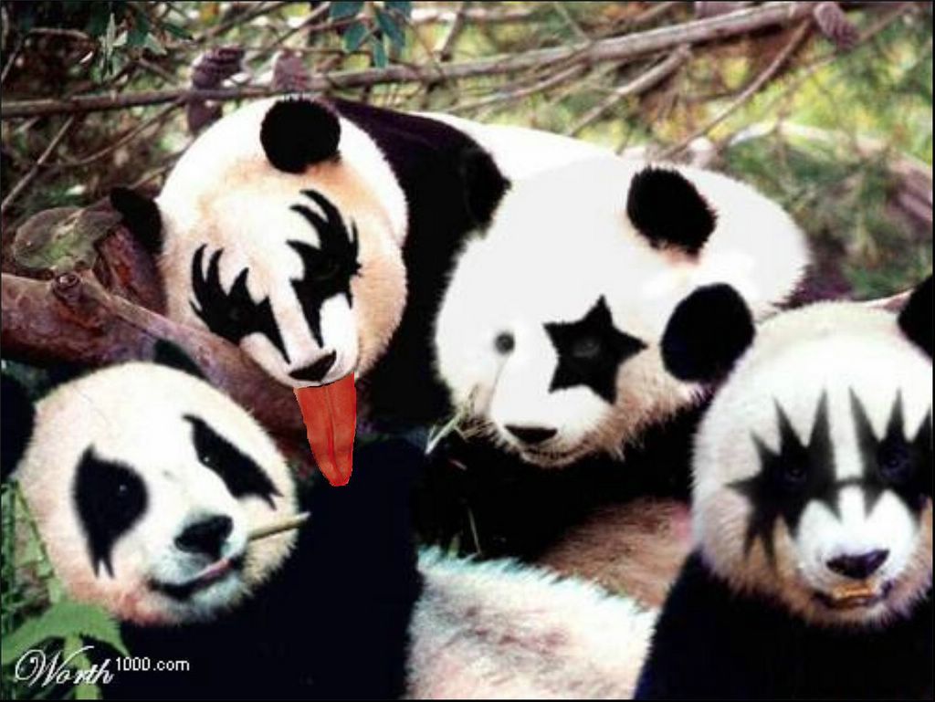 Funny Gothic Panda Bears Picture