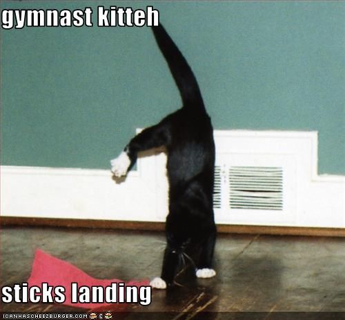 Funny Gymnast Kitten Picture