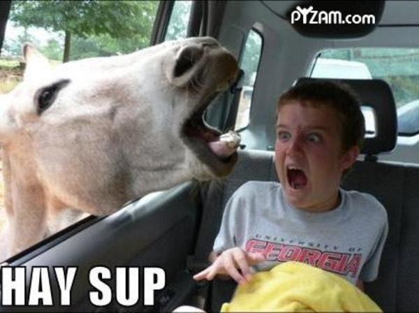 Funny Hay Sup Girl Afraid Picture