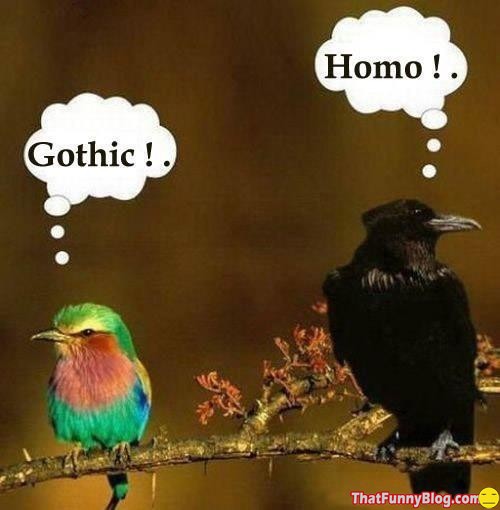 Funny Homo Vs Gothic Image