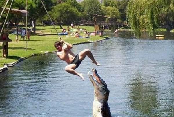 Funny Man Dangerous Crocodile Image