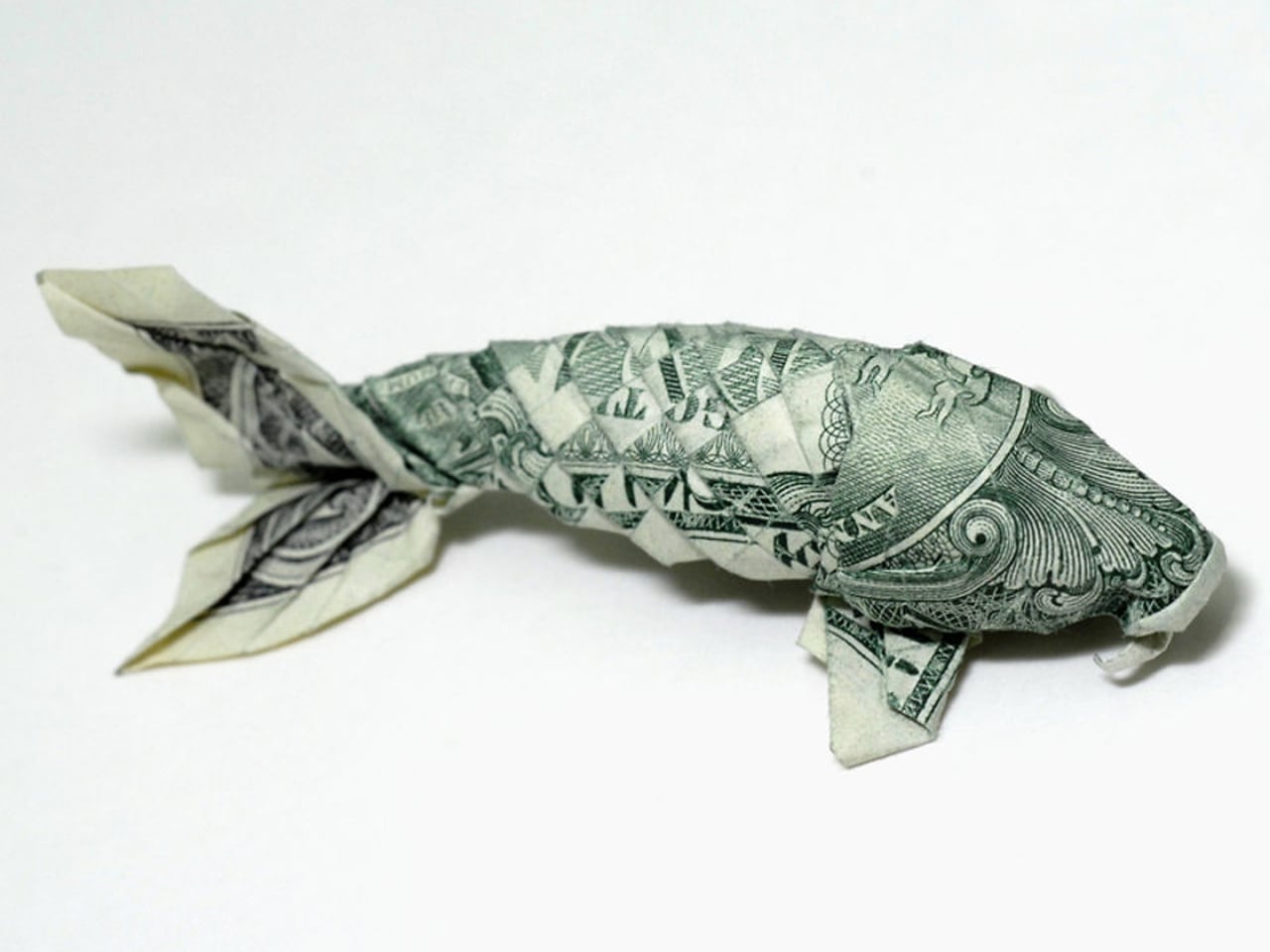 Funny Money Fish Picture