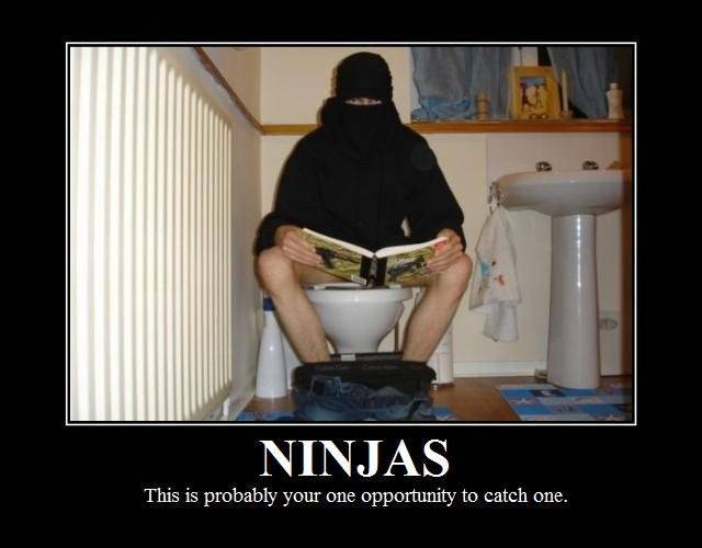 Funny Ninja Man In Toilet
