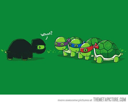Funny Ninja Turtle Image
