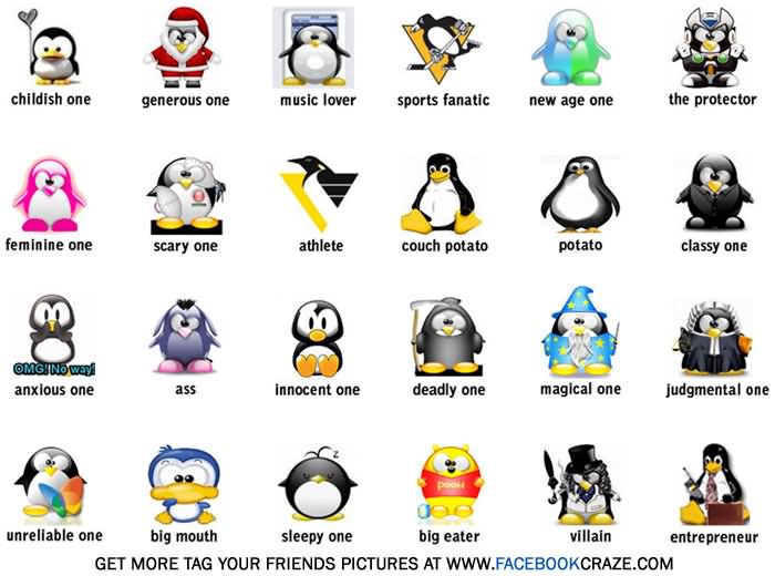 Funny Penguin Personality Image