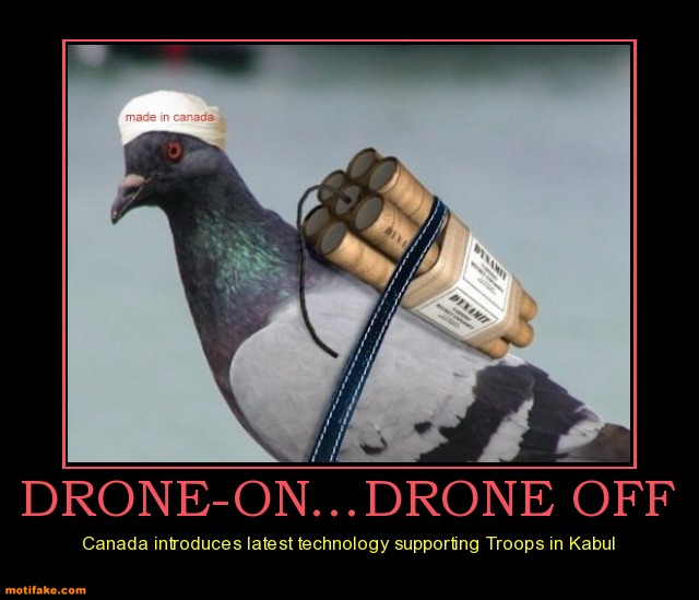 Funny Pigeon Terrorist Picture