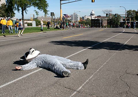 Funny Raccoon Road Kill Image