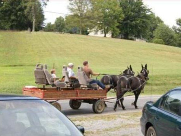 Funny Redneck Horse Cart Picture