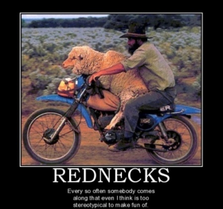 Funny Redneck Sheep With Man On Bike