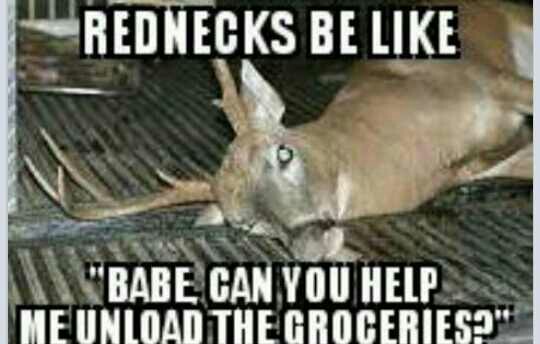 Funny Rednecks Be Like Picture