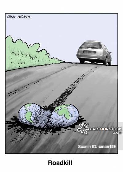 Funny Road Kill Cartoon Image