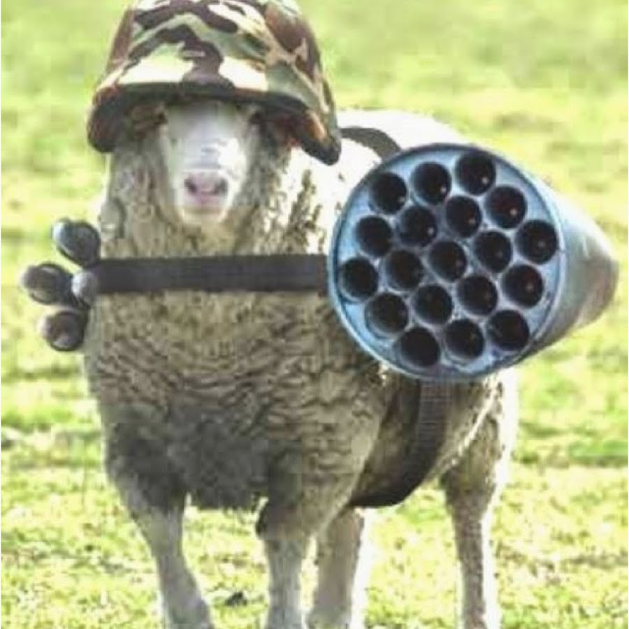 Funny-Sheep-Terrorist-Picture.jpg