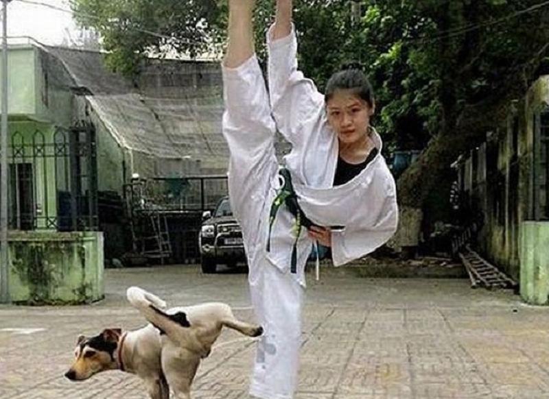 Funny Situations Karate Girl And Dog Picture
