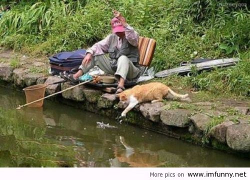 Funny Situations Man Fishing With Cat