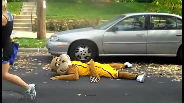 Funny Teddy Bear Road Kill Picture