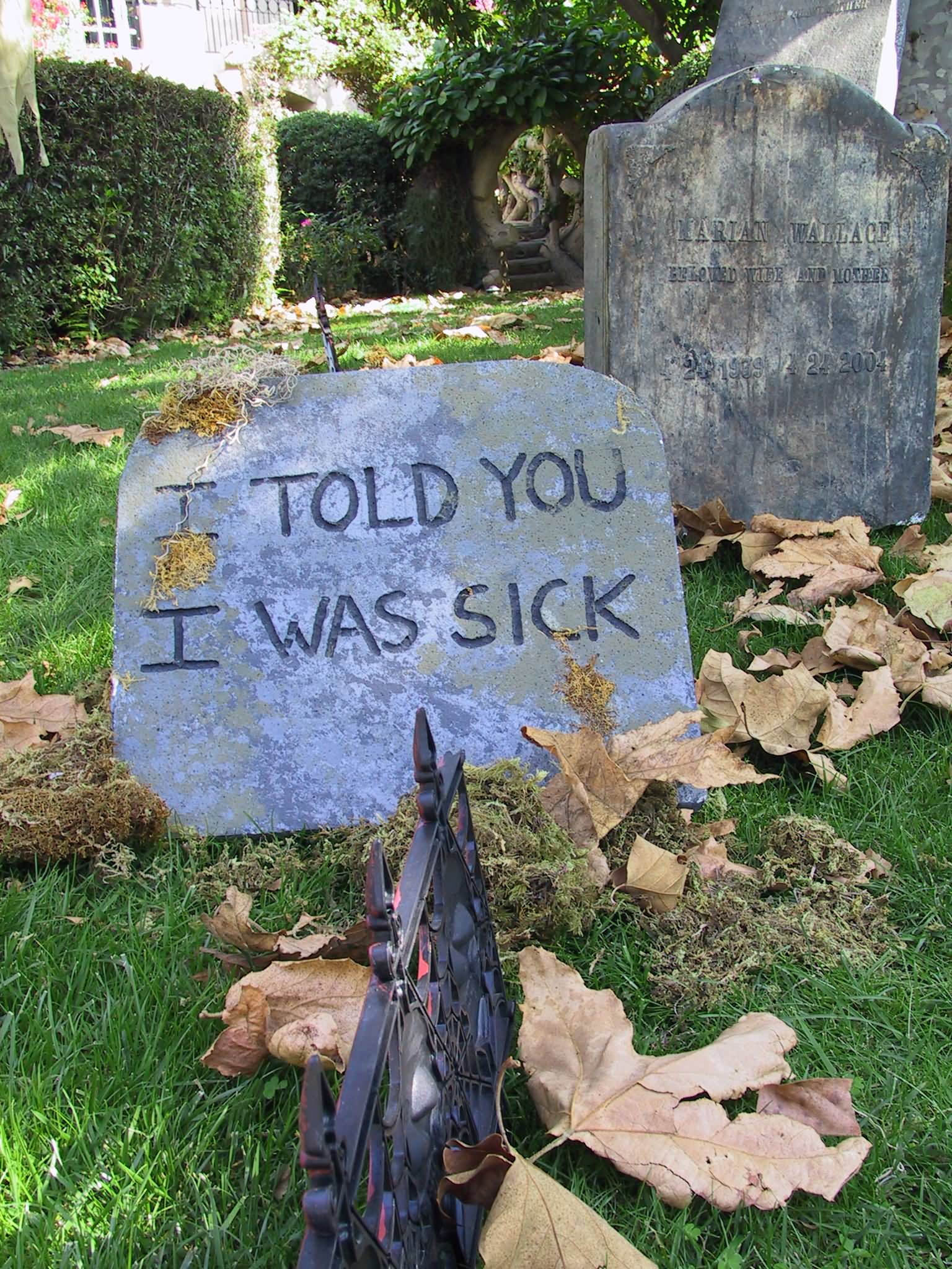 Funny Tombstone I Told You I Was Sick Image
