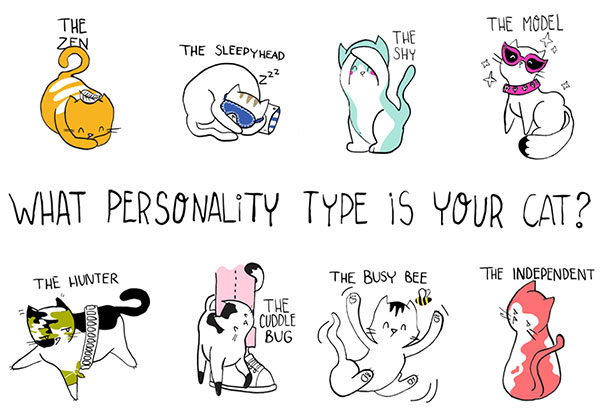 Funny What Personality Type Is Your Cat Image
