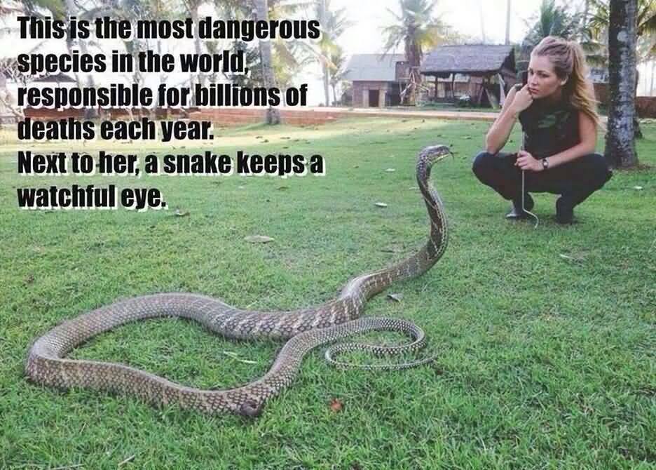 Girl Looking Dangerous Snake Funny Picture