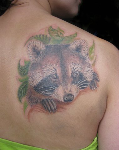 Girl Right Back Shoulder Raccoon Tattoo
