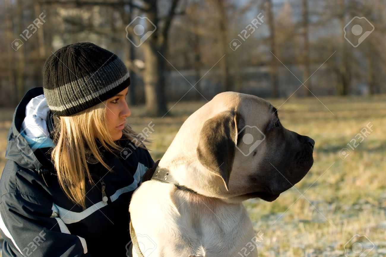 Girl With English Mastiff Dog