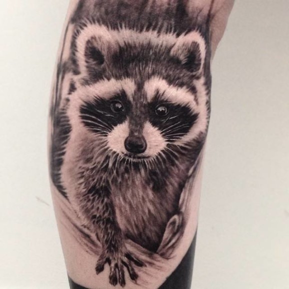 Grey And White Raccoon Tattoo by Ash Lewis