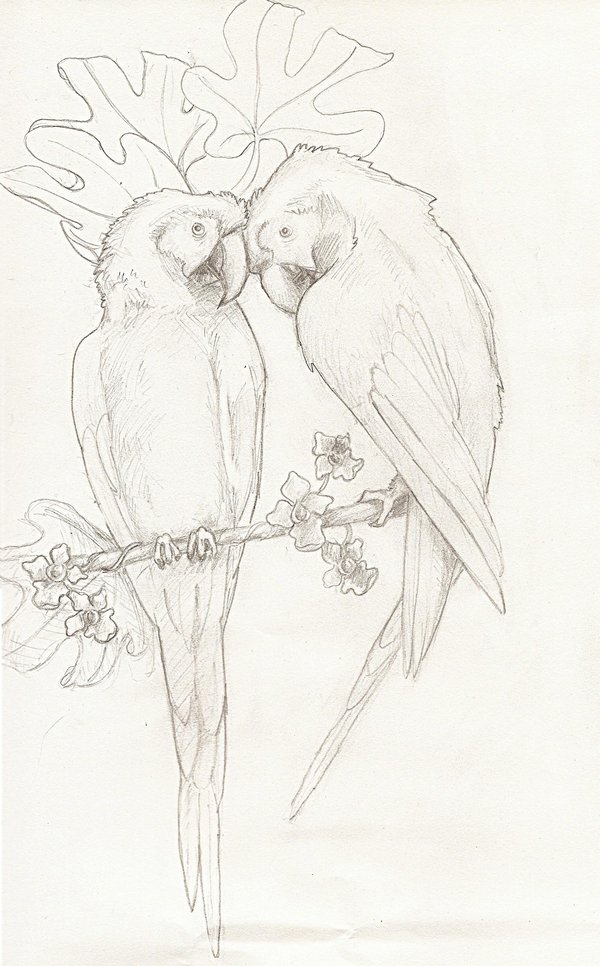 Grey Ink Two Parrot Sit On Branch Tattoo Design