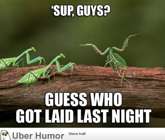 Guess Who Got Laid Last Night Funny Sup Insects