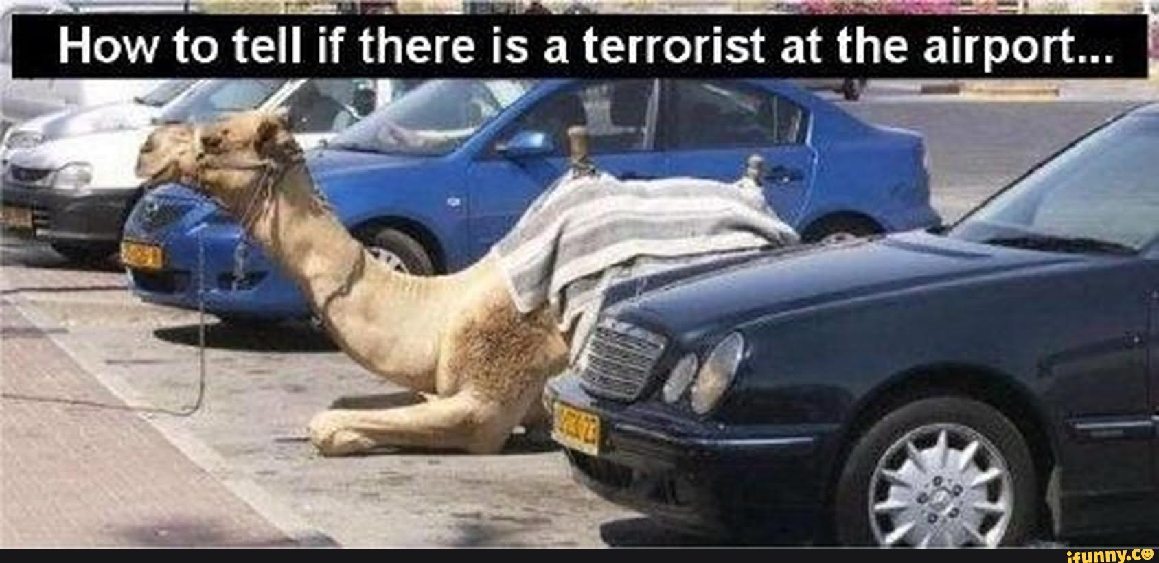 How To Tell If There Is A Terrorist At The Airport Funny Camel Image