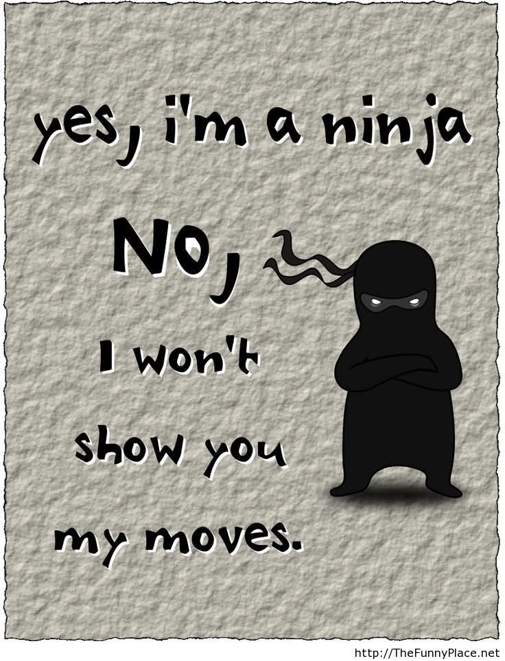 I Want To Show You My Moves Funny Ninja Picture