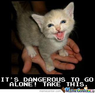 It's Dangerous To Go Alone Take This Funny Cat Picture