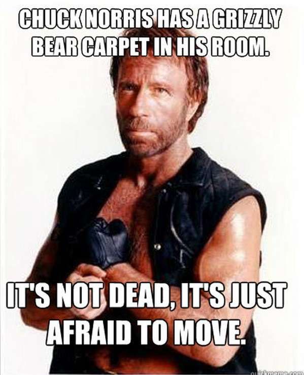 It's Not Dead It's Just Afraid To Move Funny Chuck Norris Meme Image