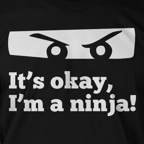 It's Okay I Am A Ninja Funny Image