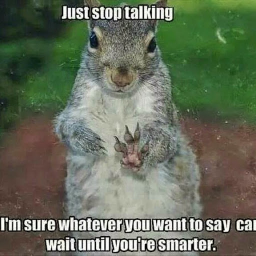 Just Stop Talking Funny Chipmunk Picture