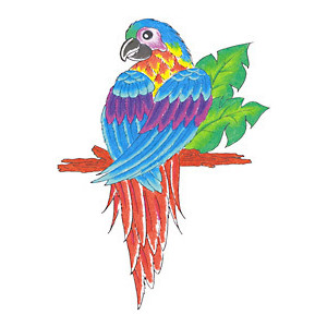 Latest Colorful Parrot Tattoo Design