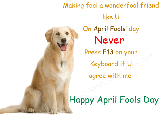Making Fool A Wonderful Friend Like You On April Fools Day Ecard