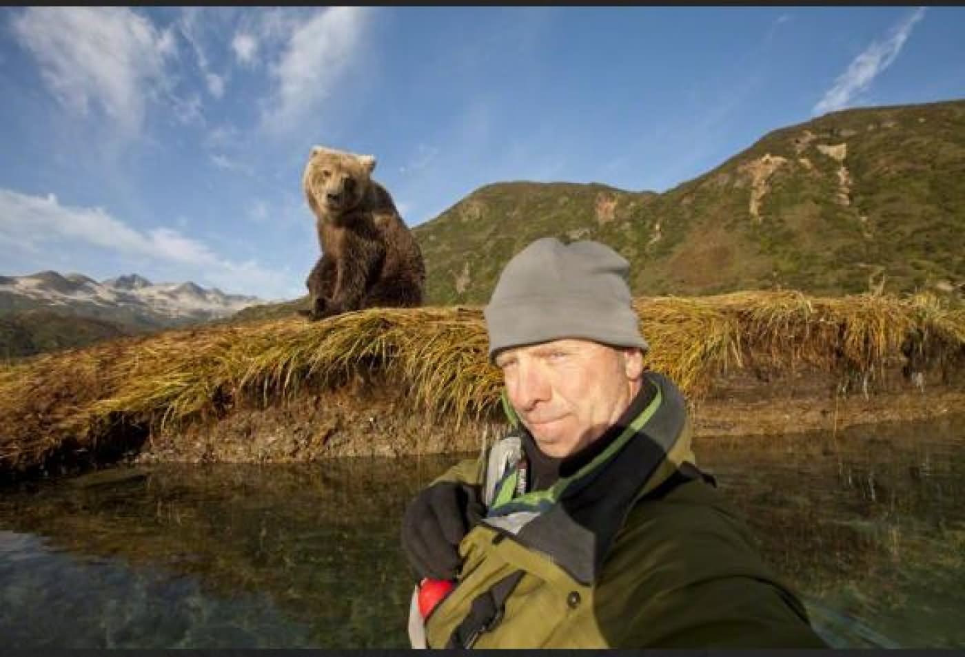 Man Taking Selfie With Bear Funny Dangerous Picture