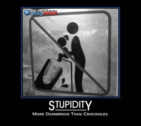More Dangerous Than Crocodiles Funny Stupidity Picture