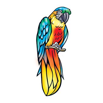 Nice Colorful Parrot Tattoo Design