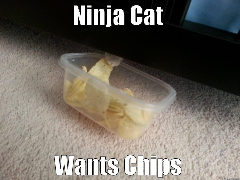 Ninja Cat Wants Chips Funny Image