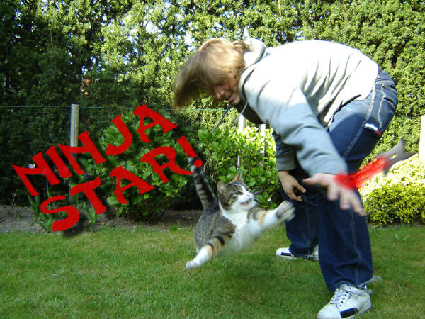 Ninja Star Cat Funny Image