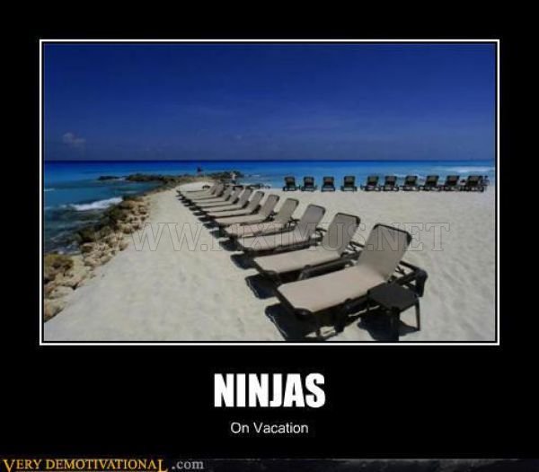 Ninjas On Vacation Funny Poster