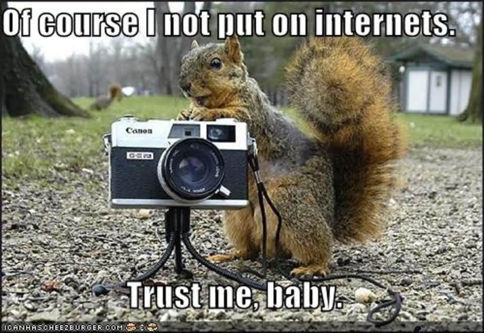 Of Course I Not Put On Internets Funny Chipmunk Image