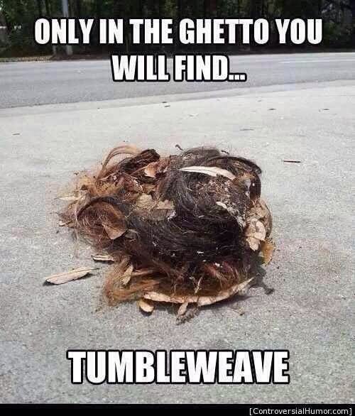 Only In The Ghetto You Will Find Funny Road Kill Image