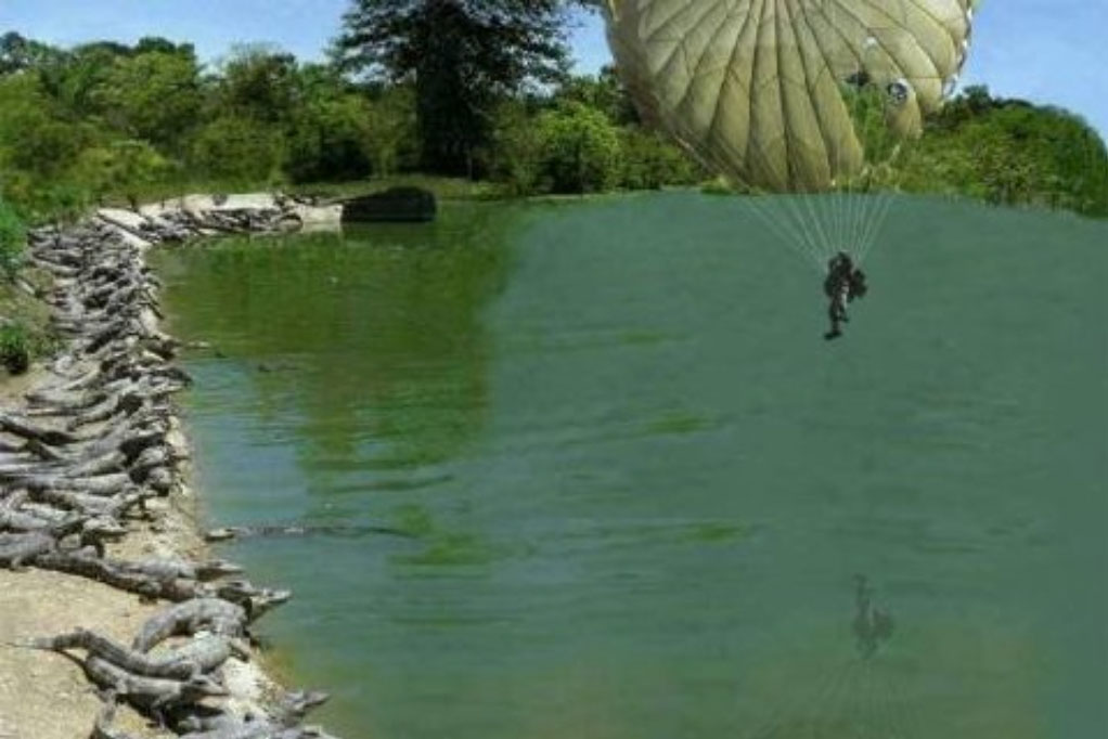 Parachute Landing Crocodiles Funny Situation Picture